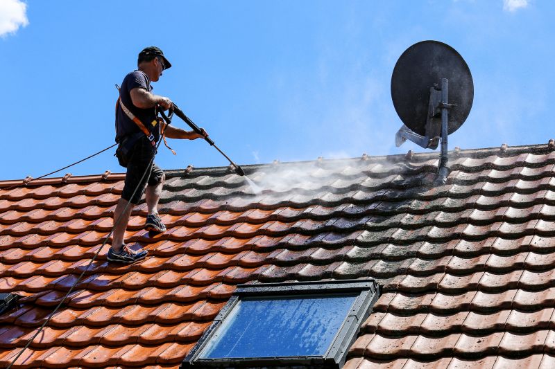 Roof Washing Service