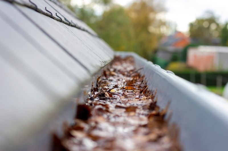 Clogged Gutter