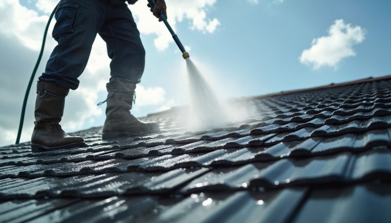 Roof Cleaning For Asphalt, Tile, And Metal Roofs