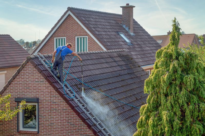 Roof Washing Service