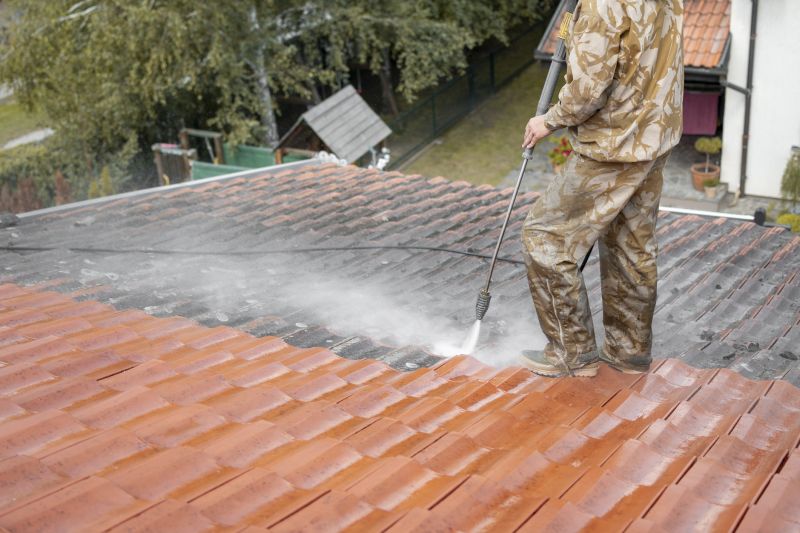 Roof Washing Service