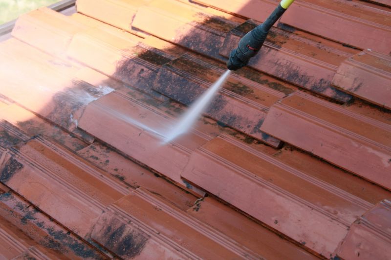 Signs Your Home Needs Professional Roof Cleaning