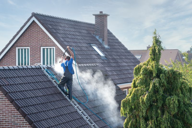 Spring Roof Cleaning