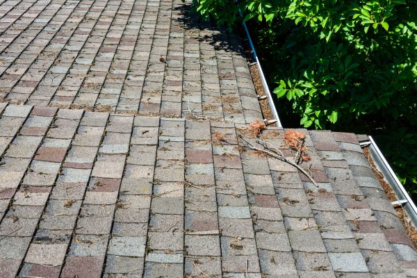 Shingle Roof Cleaning